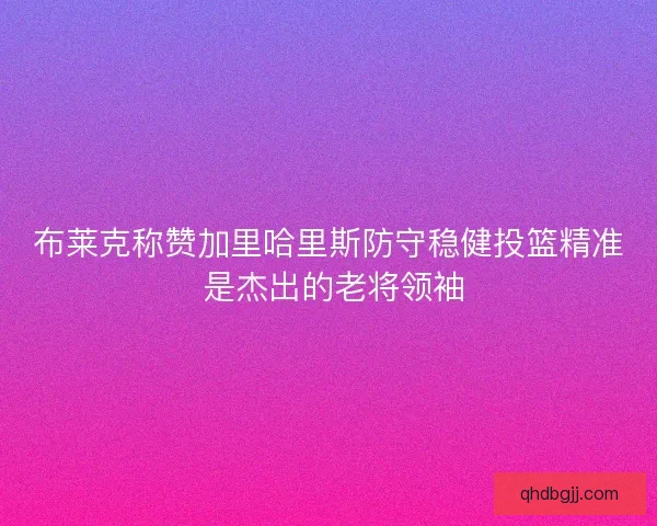 布莱克称赞加里哈里斯防守稳健投篮精准 是杰出的老将领袖 布莱克称赞加里哈里斯防守稳健投篮精准 是杰出的老将领袖